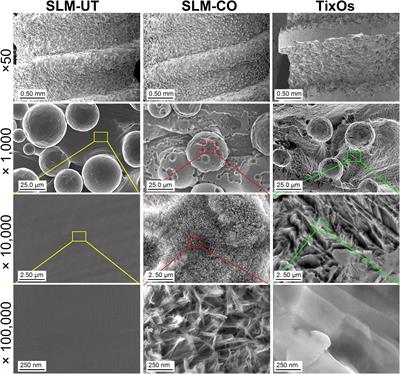 Enhanced Osseointegration by the Hierarchical Micro-Nano Topography on Selective Laser Melting Ti-6Al-4V Dental Implants